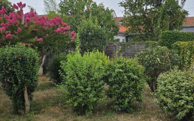 Echoppe lumineuse à rénover – Bordeaux CHU Pellegrin