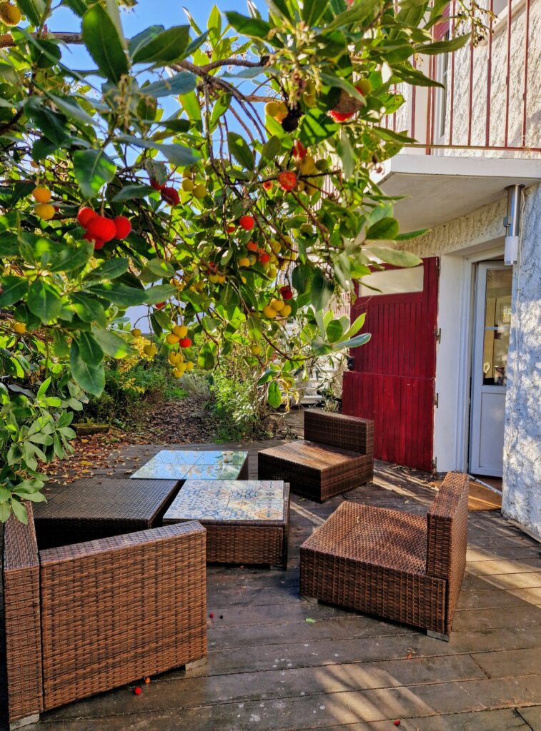 Terrasse en bois ombragée par des arbousiers, idéale pour se détendre en extérieur.